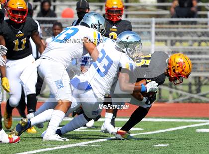 Thumbnail 1 in St. Bernard vs. Dominguez photogallery.