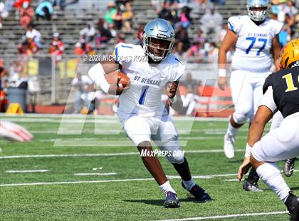 Thumbnail 3 in St. Bernard vs. Dominguez photogallery.