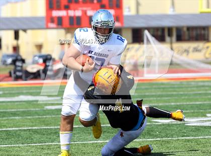 Thumbnail 1 in St. Bernard vs. Dominguez photogallery.