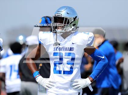 Thumbnail 1 in St. Bernard vs. Dominguez photogallery.