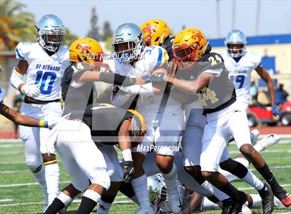 Thumbnail 1 in St. Bernard vs. Dominguez photogallery.