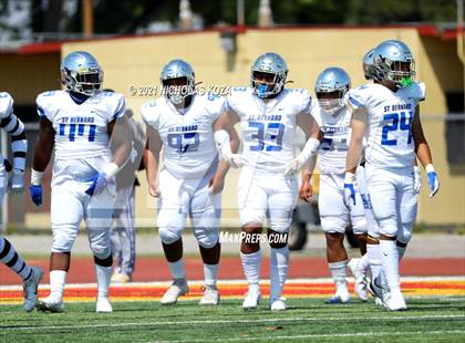 Thumbnail 3 in St. Bernard vs. Dominguez photogallery.