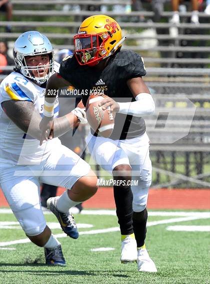 Thumbnail 1 in St. Bernard vs. Dominguez photogallery.