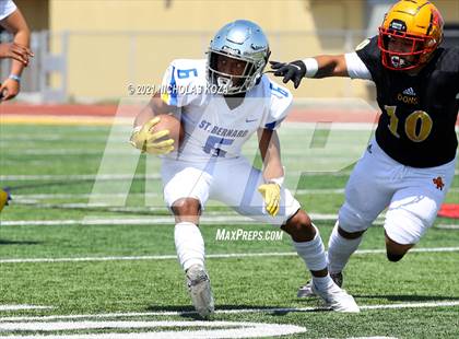 Thumbnail 3 in St. Bernard vs. Dominguez photogallery.