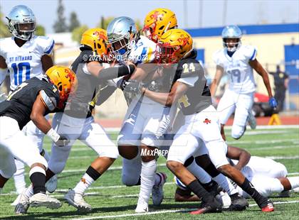 Thumbnail 3 in St. Bernard vs. Dominguez photogallery.
