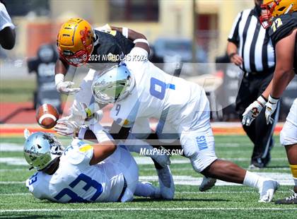 Thumbnail 1 in St. Bernard vs. Dominguez photogallery.