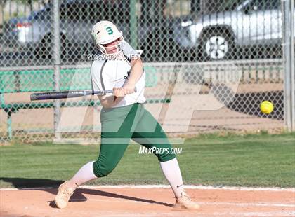 Thumbnail 2 in Dobson @ Sunnyslope photogallery.