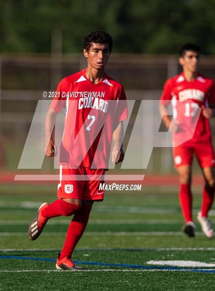 Thumbnail 1 in Avon @ Conard photogallery.