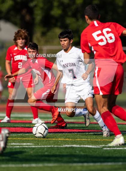 Thumbnail 2 in Avon @ Conard photogallery.