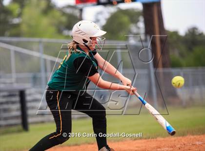 Thumbnail 2 in White Oak @ Havelock photogallery.