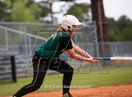 Thumbnail 3 in White Oak @ Havelock photogallery.