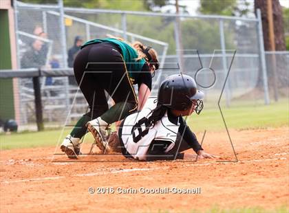 Thumbnail 1 in White Oak @ Havelock photogallery.