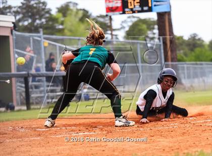 Thumbnail 1 in White Oak @ Havelock photogallery.