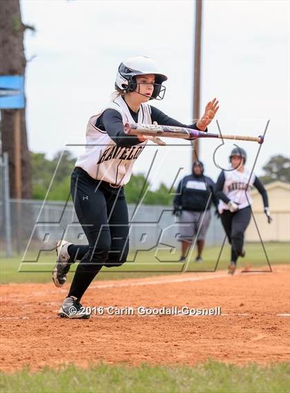 Thumbnail 1 in White Oak @ Havelock photogallery.