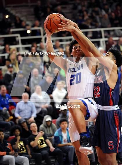 Thumbnail 3 in Archbishop Stepinac vs Archbishop Molloy (CHSAA Intersectional Semifinal Playoff) photogallery.