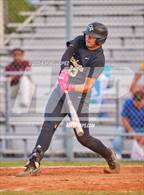 Photo from the gallery "Westbury @ Galena Park"
