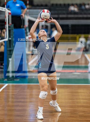 null - Photo 01