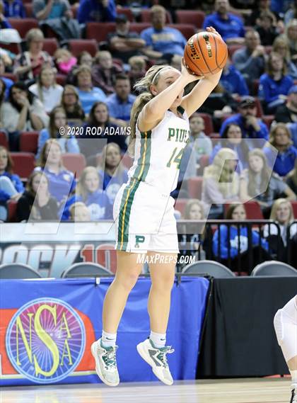 Thumbnail 1 in Pius X vs. North Platte (NSAA Class A Quarterfinal)  photogallery.