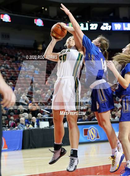 Thumbnail 2 in Pius X vs. North Platte (NSAA Class A Quarterfinal)  photogallery.