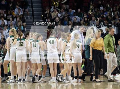 Thumbnail 1 in Pius X vs. North Platte (NSAA Class A Quarterfinal)  photogallery.