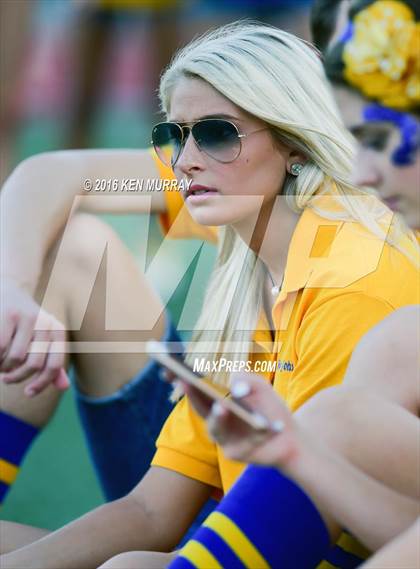 Thumbnail 2 in Klein Oak @ Klein photogallery.