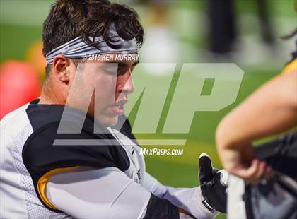 Thumbnail 1 in Klein Oak @ Klein photogallery.