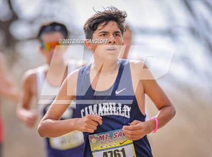 Thumbnail 2 in Mt SAC Invitational (Division 1 - Race 76)  photogallery.