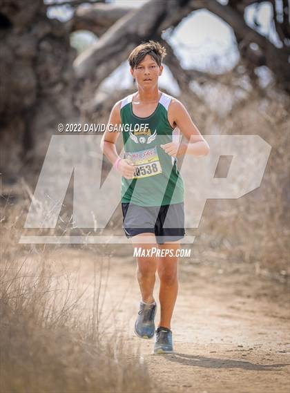 Thumbnail 1 in Mt SAC Invitational (Division 1 - Race 76)  photogallery.