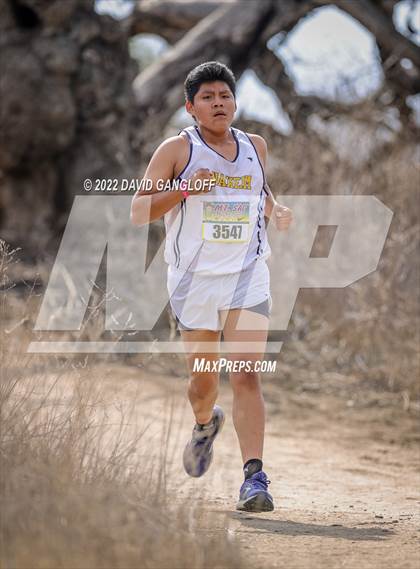 Thumbnail 3 in Mt SAC Invitational (Division 1 - Race 76)  photogallery.