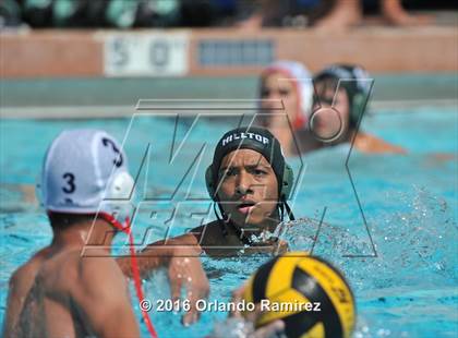 Thumbnail 1 in Olympian @ Hilltop photogallery.