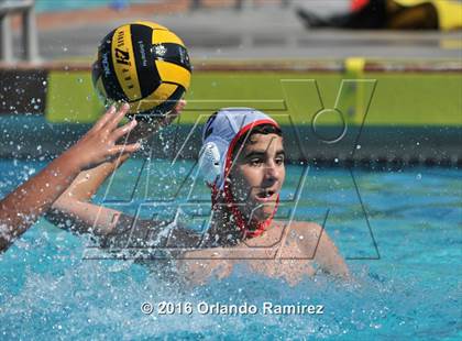 Thumbnail 1 in Olympian @ Hilltop photogallery.