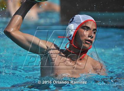 Thumbnail 3 in Olympian @ Hilltop photogallery.