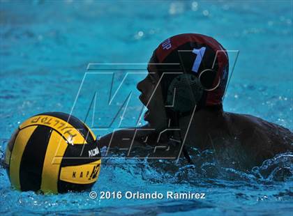 Thumbnail 1 in Olympian @ Hilltop photogallery.
