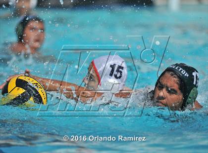 Thumbnail 1 in Olympian @ Hilltop photogallery.