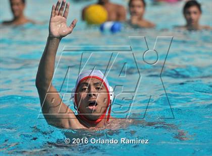 Thumbnail 3 in Olympian @ Hilltop photogallery.