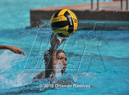 Thumbnail 2 in Olympian @ Hilltop photogallery.