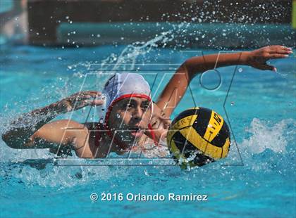 Thumbnail 3 in Olympian @ Hilltop photogallery.