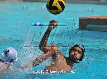 Thumbnail 1 in Olympian @ Hilltop photogallery.