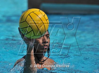 Thumbnail 1 in Olympian @ Hilltop photogallery.
