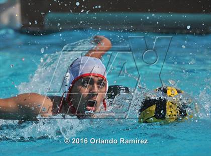 Thumbnail 2 in Olympian @ Hilltop photogallery.