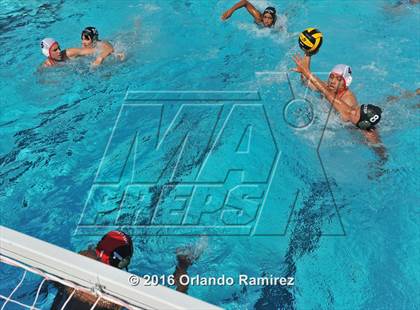 Thumbnail 1 in Olympian @ Hilltop photogallery.