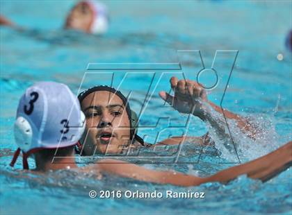 Thumbnail 1 in Olympian @ Hilltop photogallery.