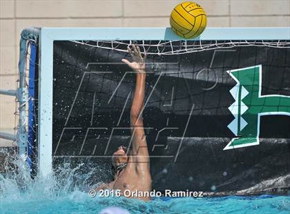 Thumbnail 2 in Olympian @ Hilltop photogallery.