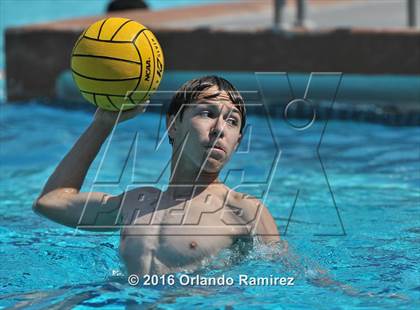 Thumbnail 2 in Olympian @ Hilltop photogallery.