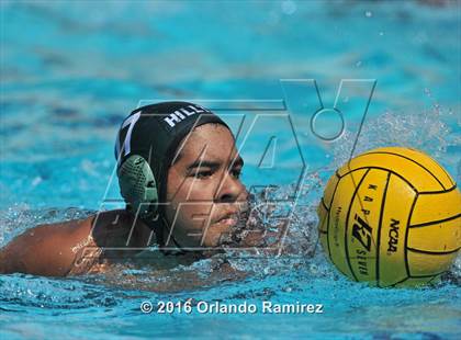 Thumbnail 3 in Olympian @ Hilltop photogallery.