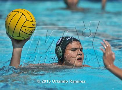 Thumbnail 2 in Olympian @ Hilltop photogallery.