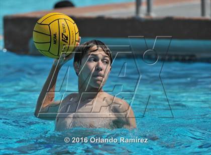 Thumbnail 1 in Olympian @ Hilltop photogallery.