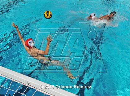 Thumbnail 1 in Olympian @ Hilltop photogallery.