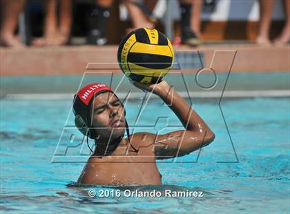 Thumbnail 2 in Olympian @ Hilltop photogallery.