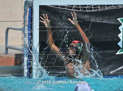 Thumbnail 2 in Olympian @ Hilltop photogallery.